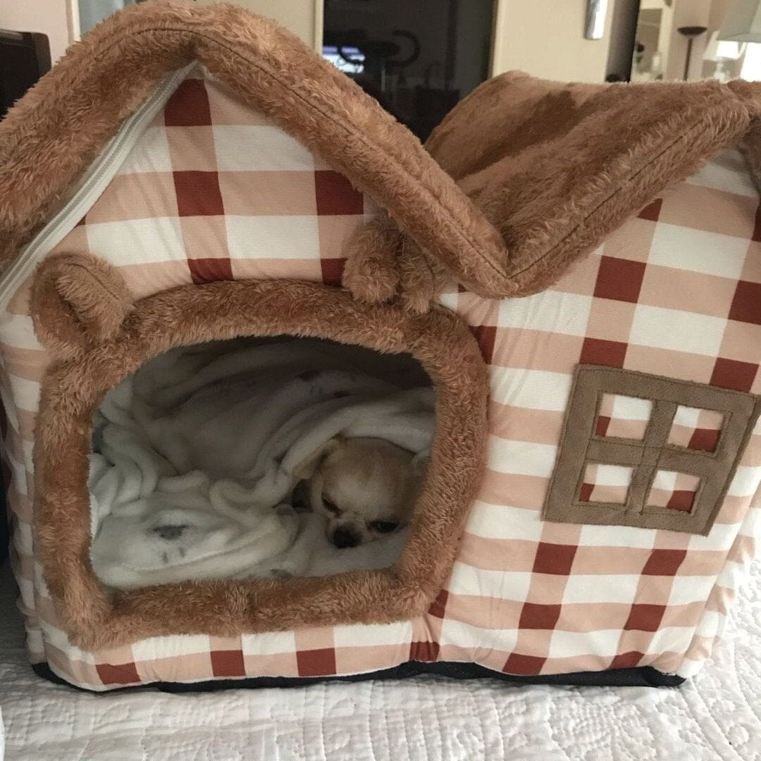 Niche Chien - ComfortableDogHouse™ - Marron Toiture Double - La niche de Wally