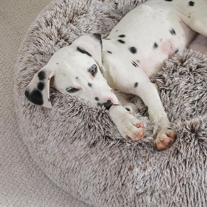 Lit pour Chien - FluffyDogBed™ - Café Dégradé - La niche de Wally