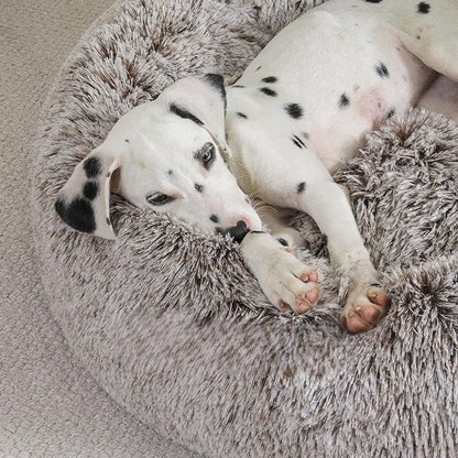 Lit pour Chien - FluffyDogBed™ - Café Dégradé - La niche de Wally
